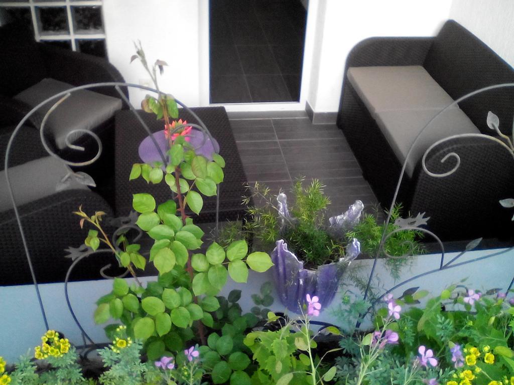 Apartment Poropat Poreč Pokój zdjęcie