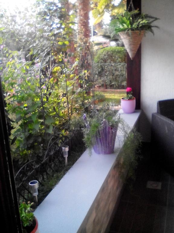 Apartment Poropat Poreč Pokój zdjęcie